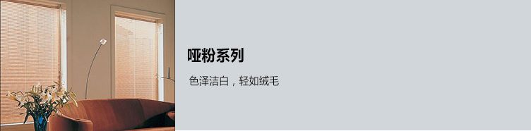 哑粉